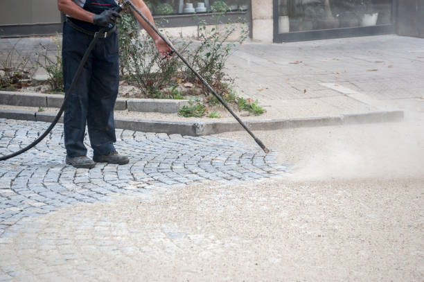Best Warehouse Cleaning  in Prestbury, IL